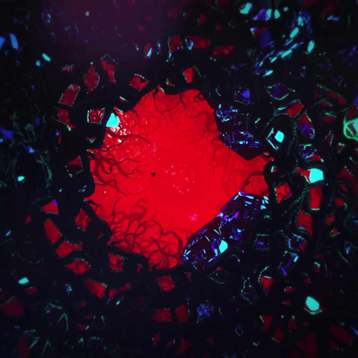 ASTRAL DESCENT 2 (Strangeloop)