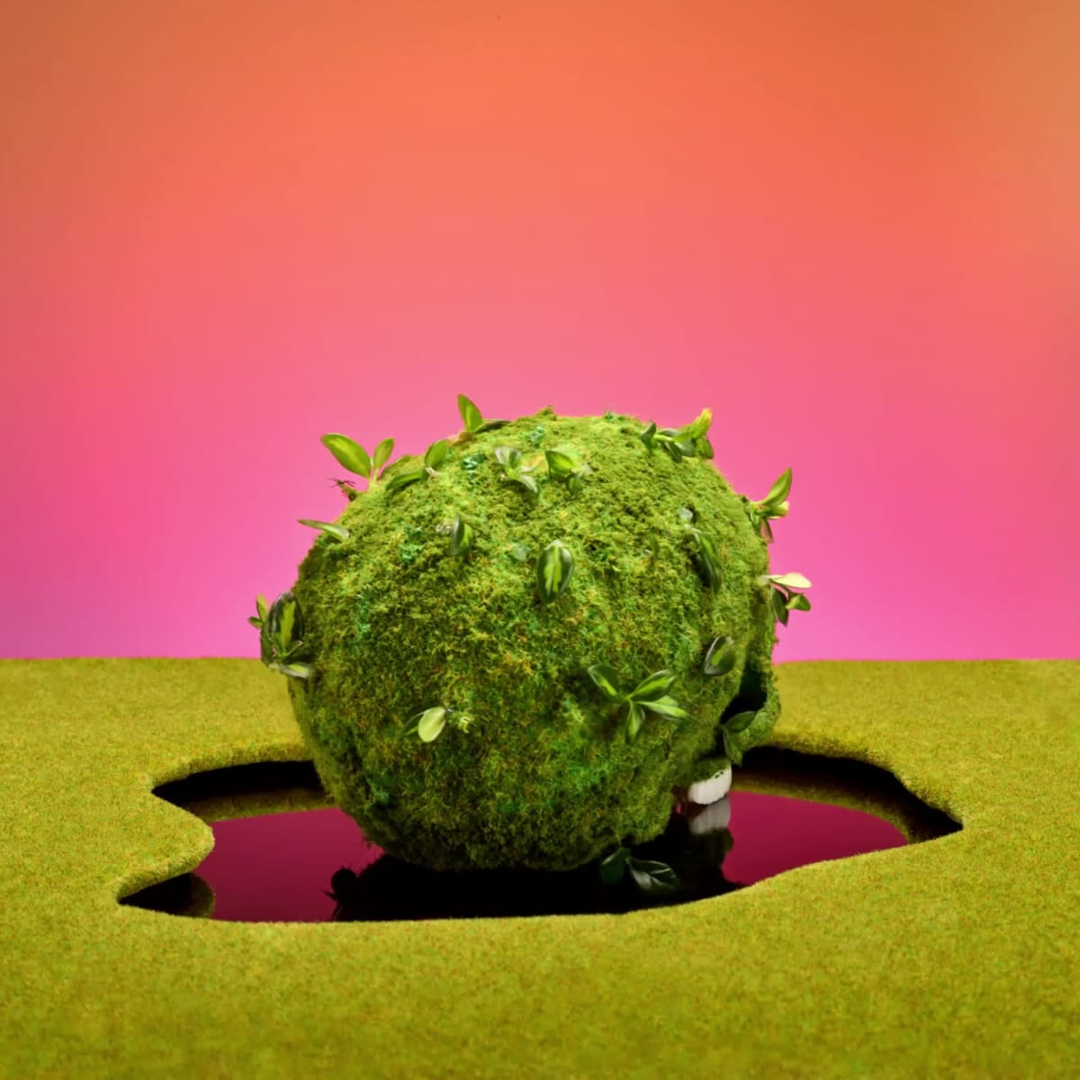 Life & Death by Paloma Rincon