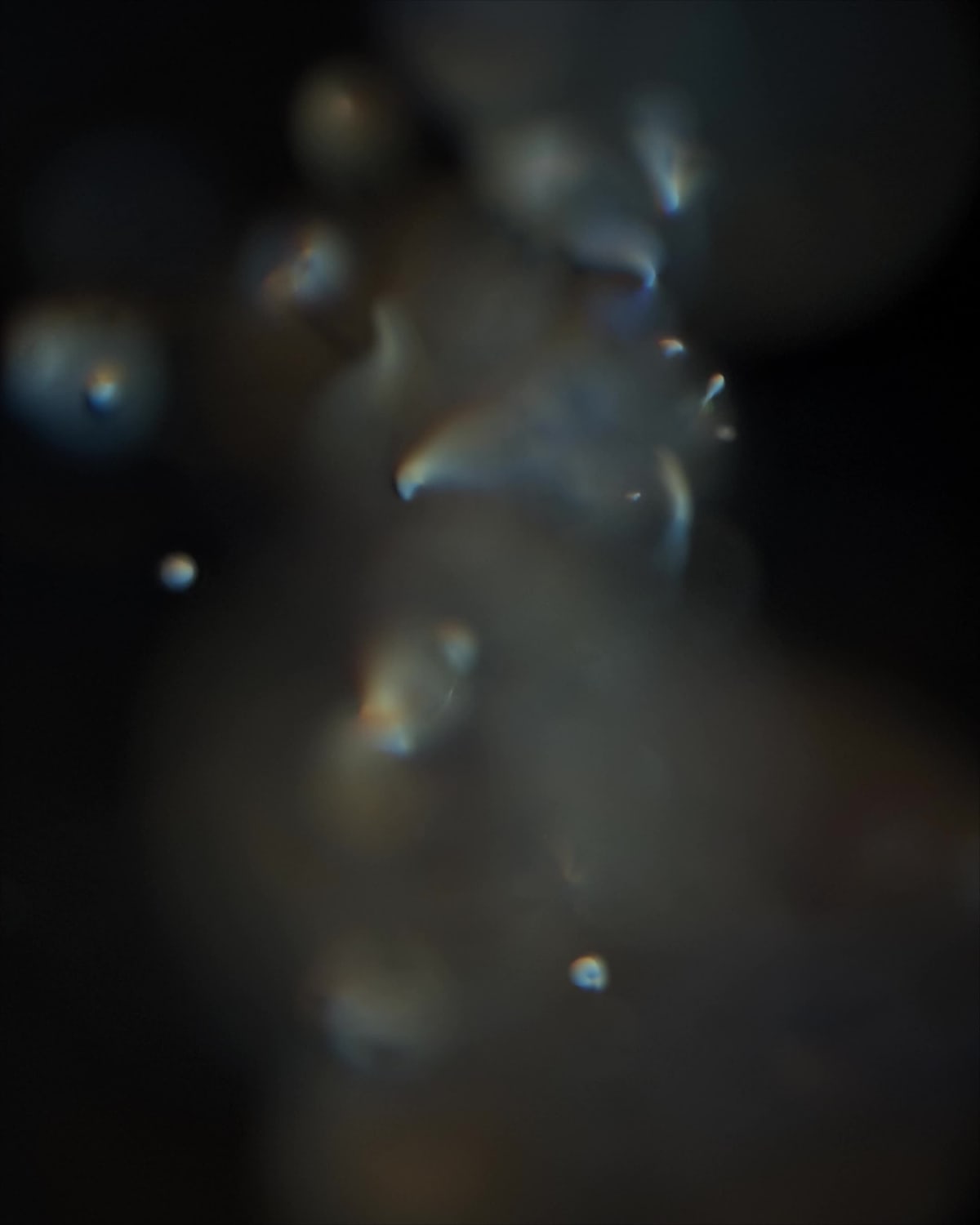 Trisynaptic Circuit by Gabriel Rud