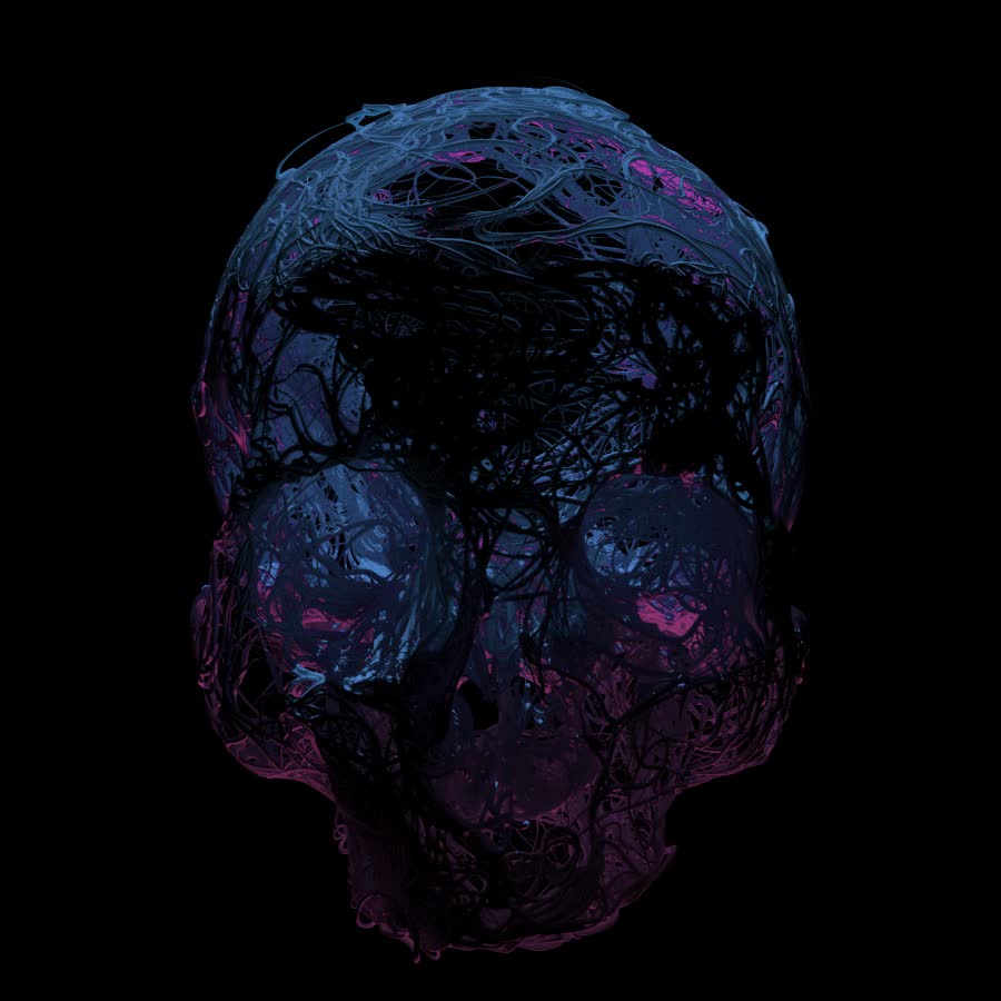 Skull Study by Drew Flaherty