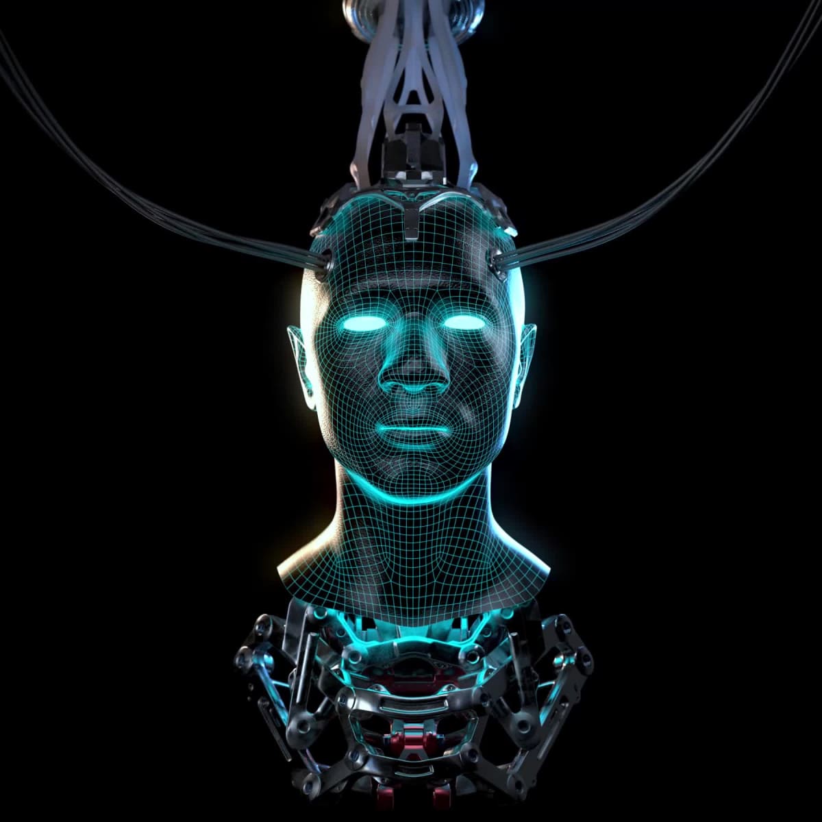 Digital Head