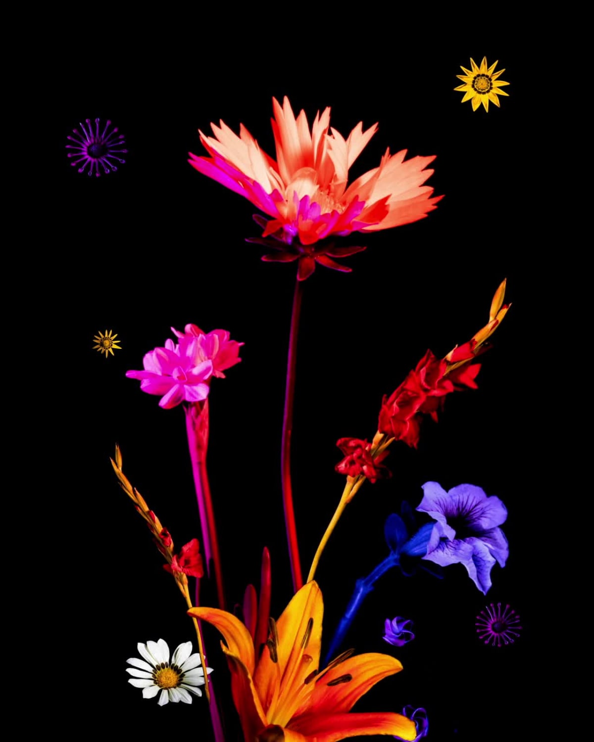 Eternal Garden 5