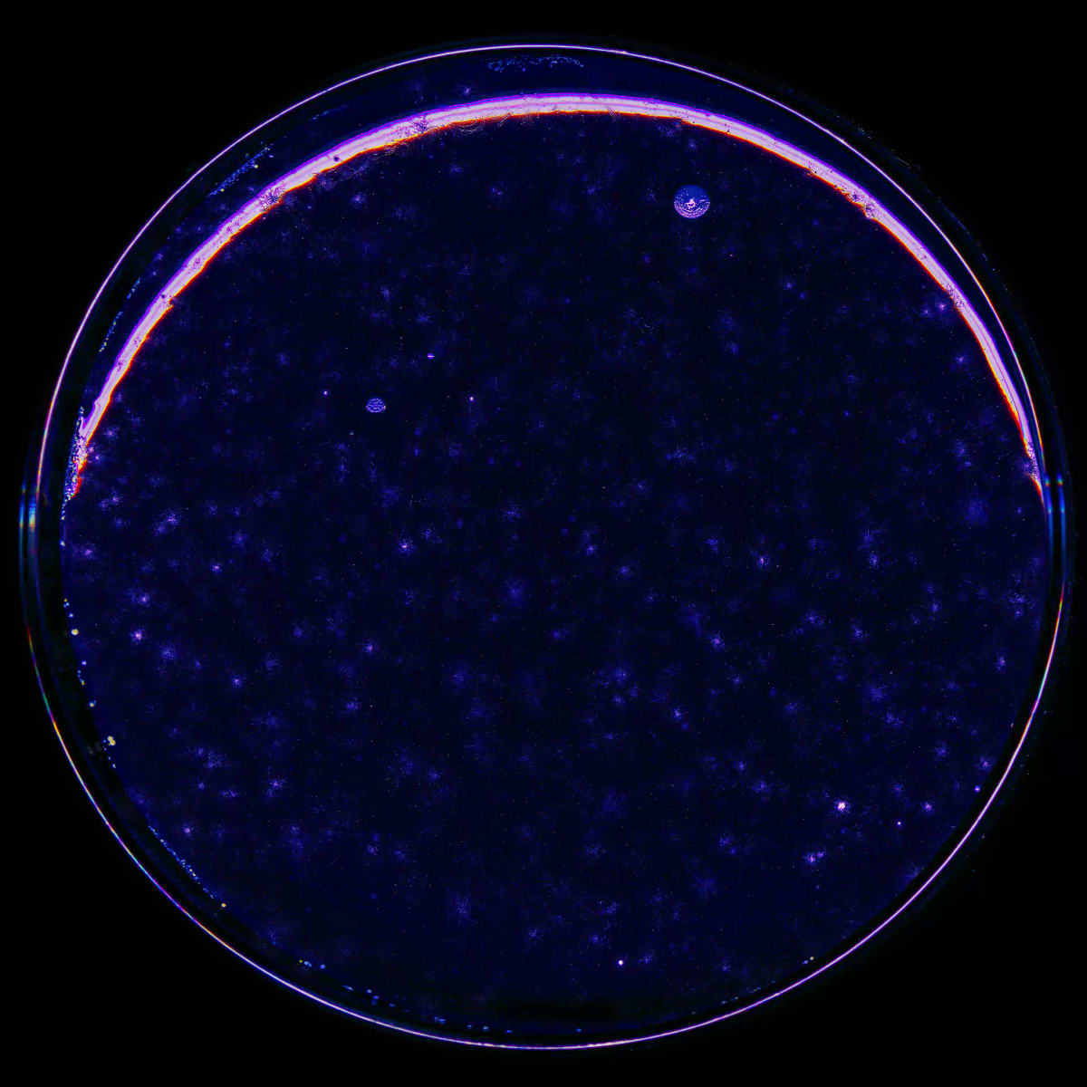 KEITH HARING RESURRECTED!!