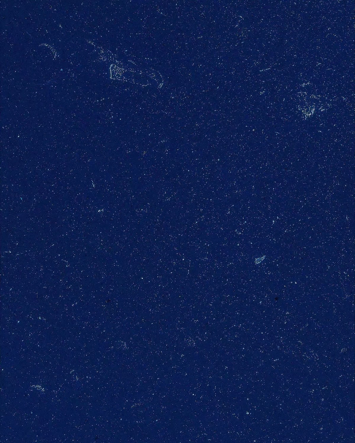 JEFF KOONS' BACTERIAL PINK BALLOONS!