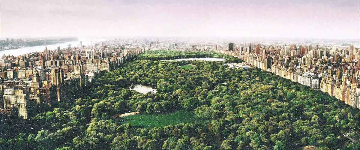 'DREAMS OF CENTRAL PARK' DIAMOND DUST DIGITAL
