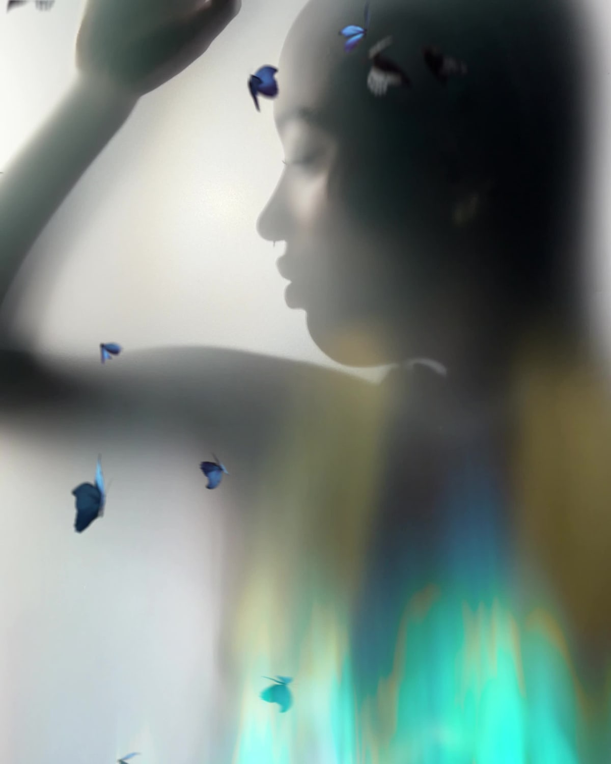 Glass Butterfly: Frida Cash Flow