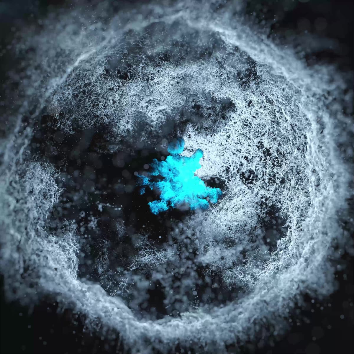 Frozen Galaxy by James Merrill