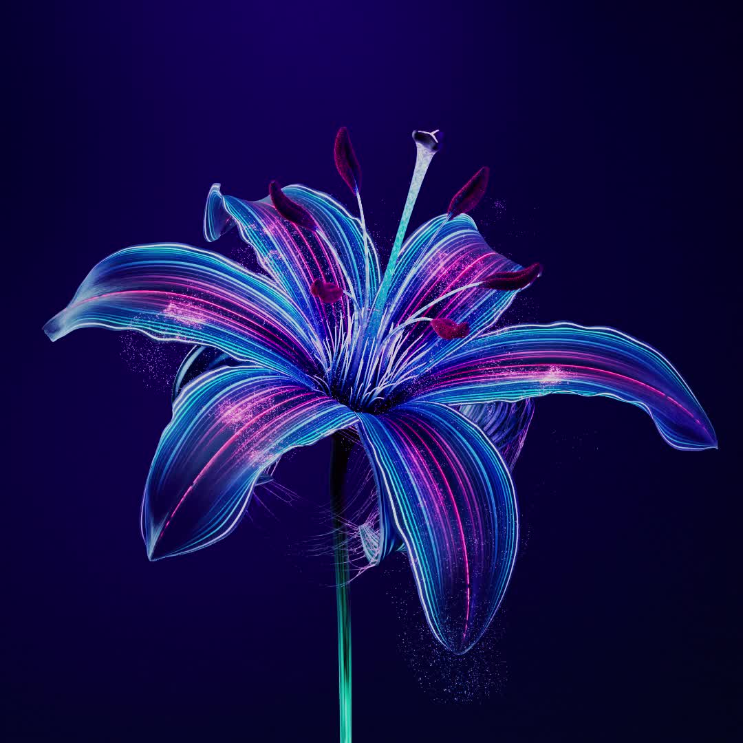 BLOOM-NOX