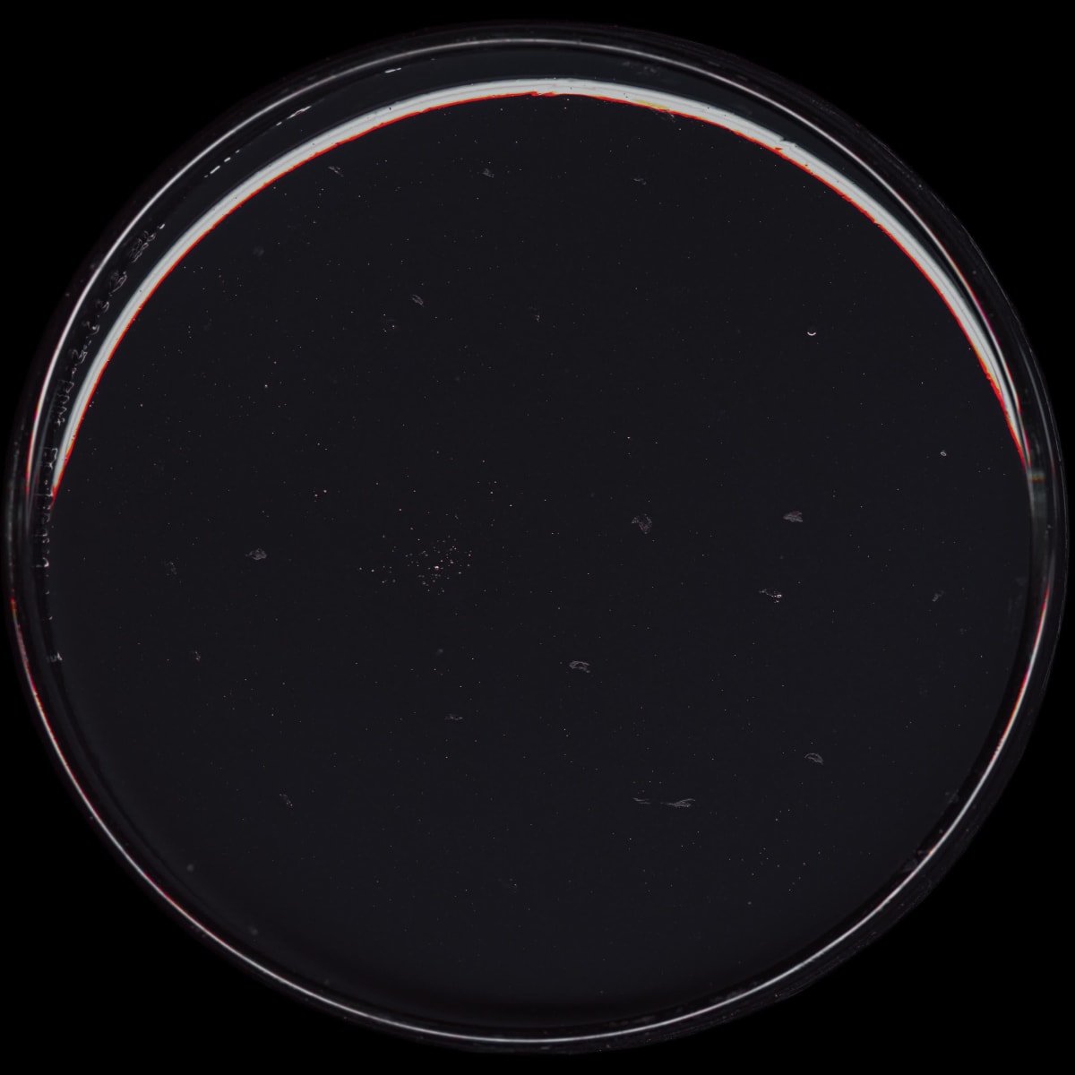 Mutant - Pollock Dances With a Smiling Copper !!