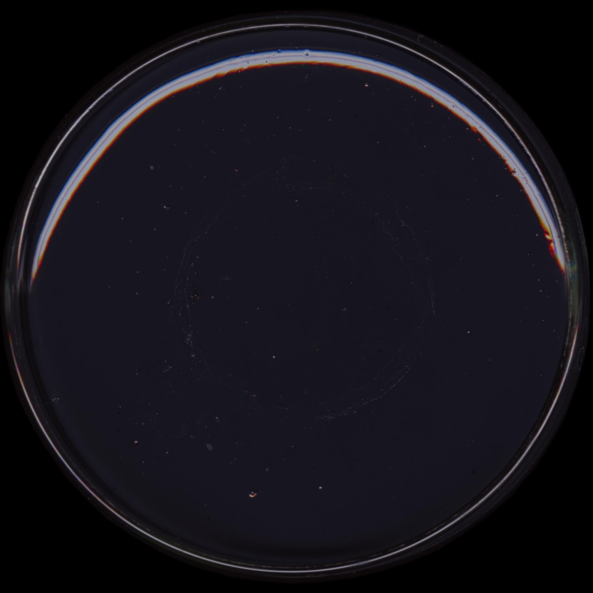 THE RE-MATERIALISATION OF MATISSE !!