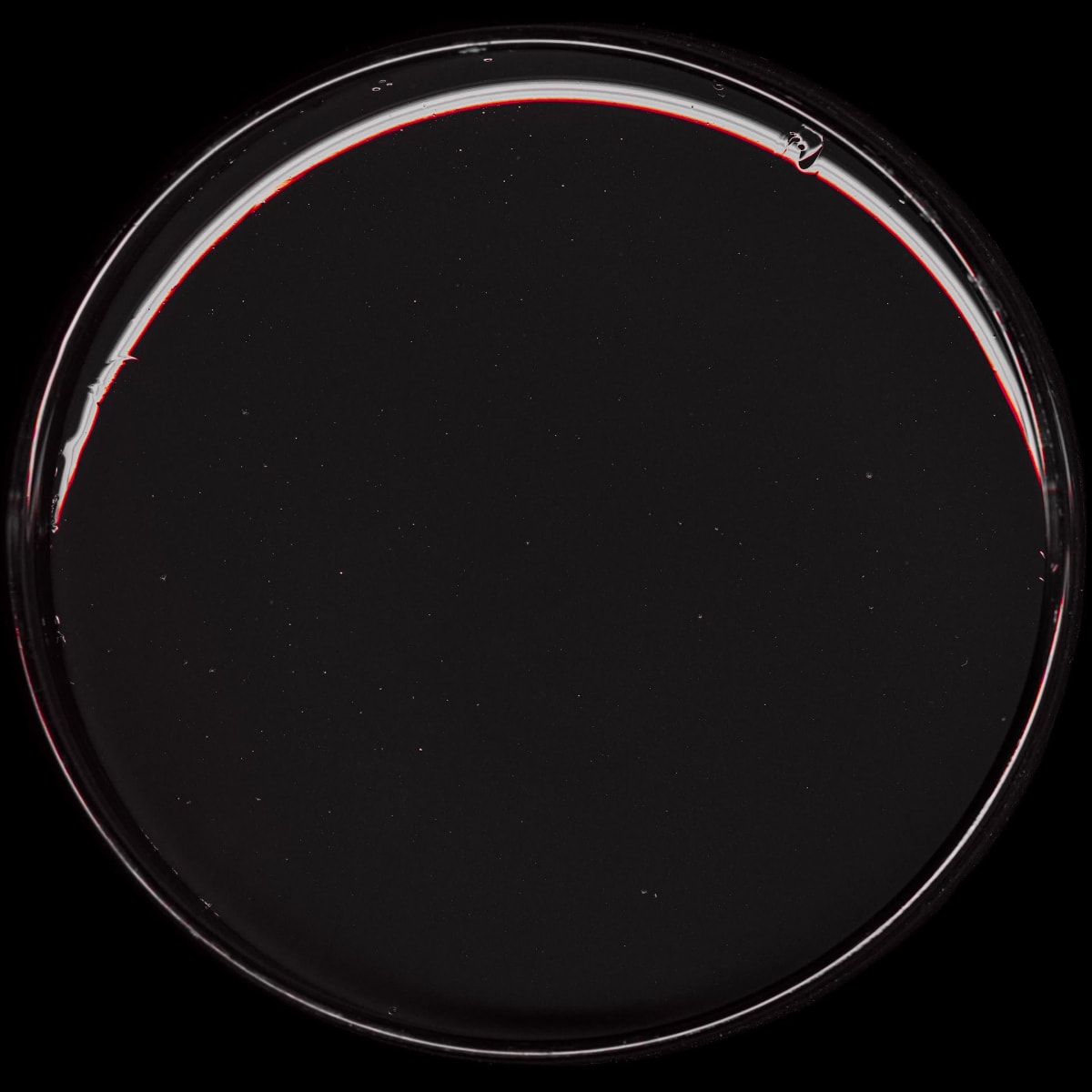 BIOLOGICAL BANKSY !!