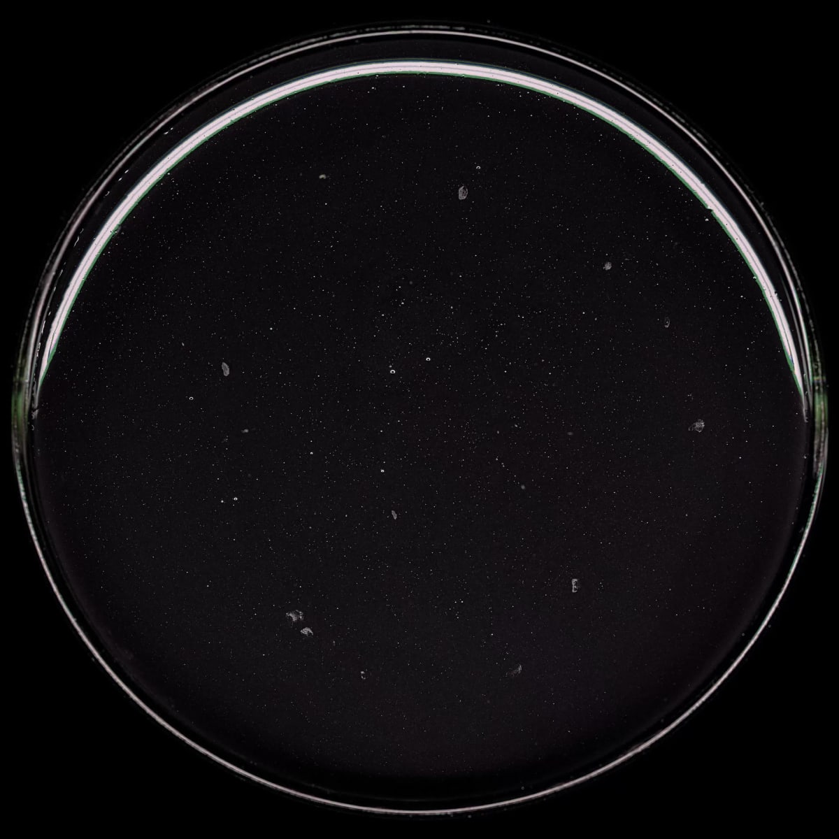 FRANKENSTEIN-LICHTENSTEIN !!