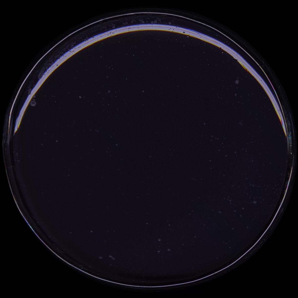 THE PICASSO PARTICLE !!