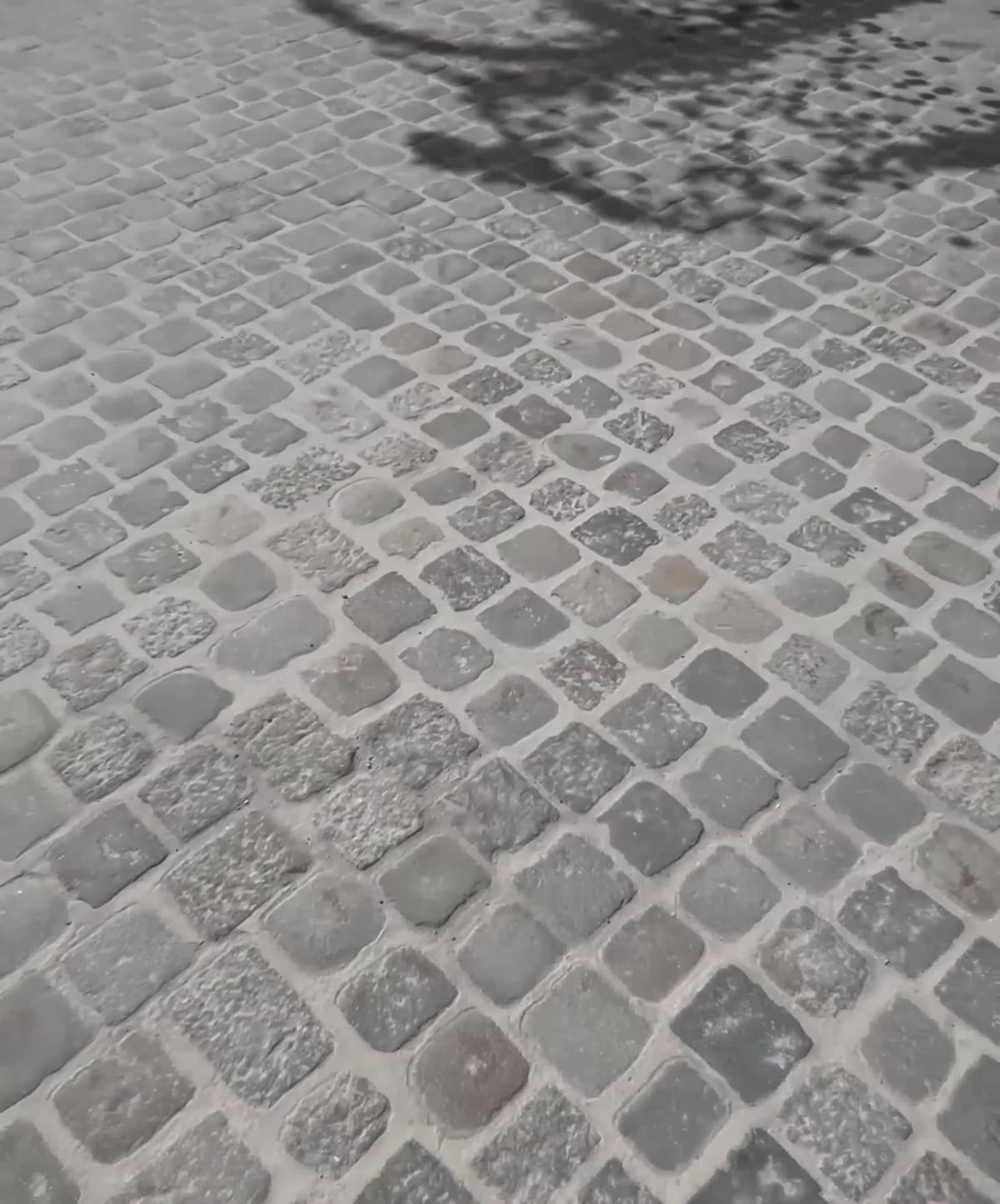 City
