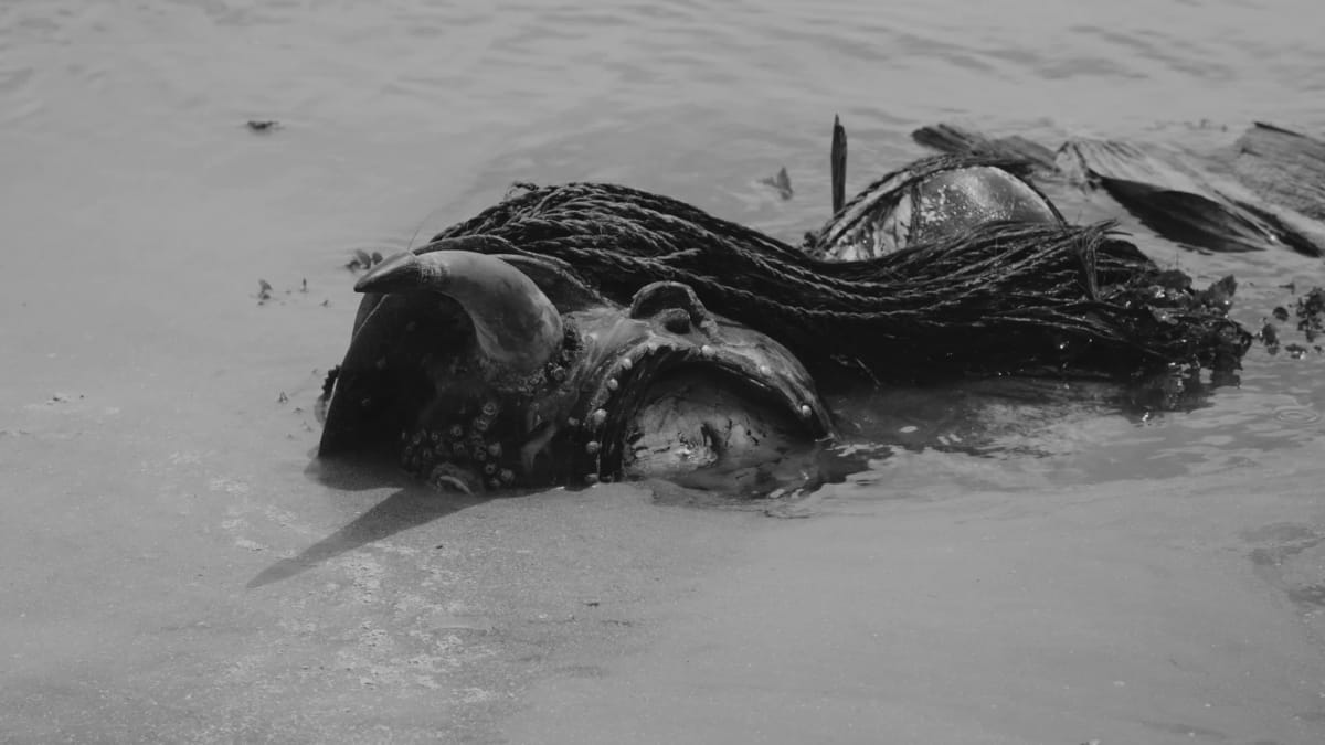 Cetus Turned to Stone