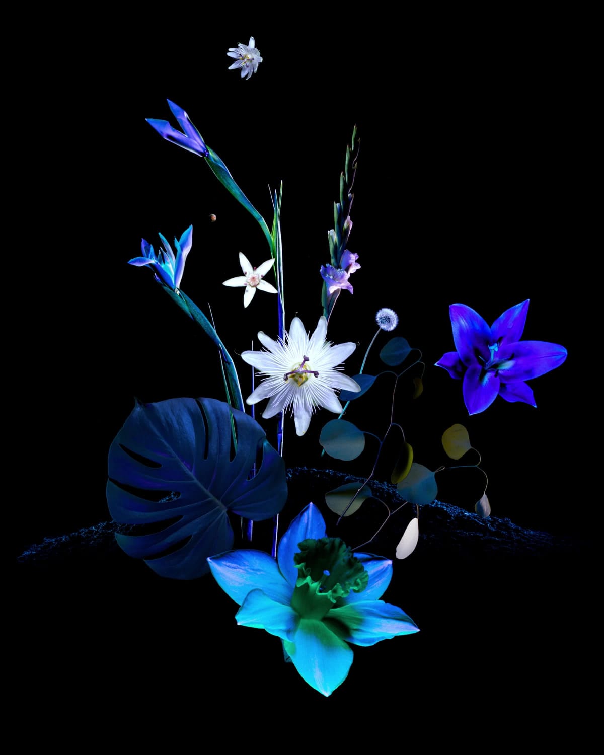 MOONLIGHT 1