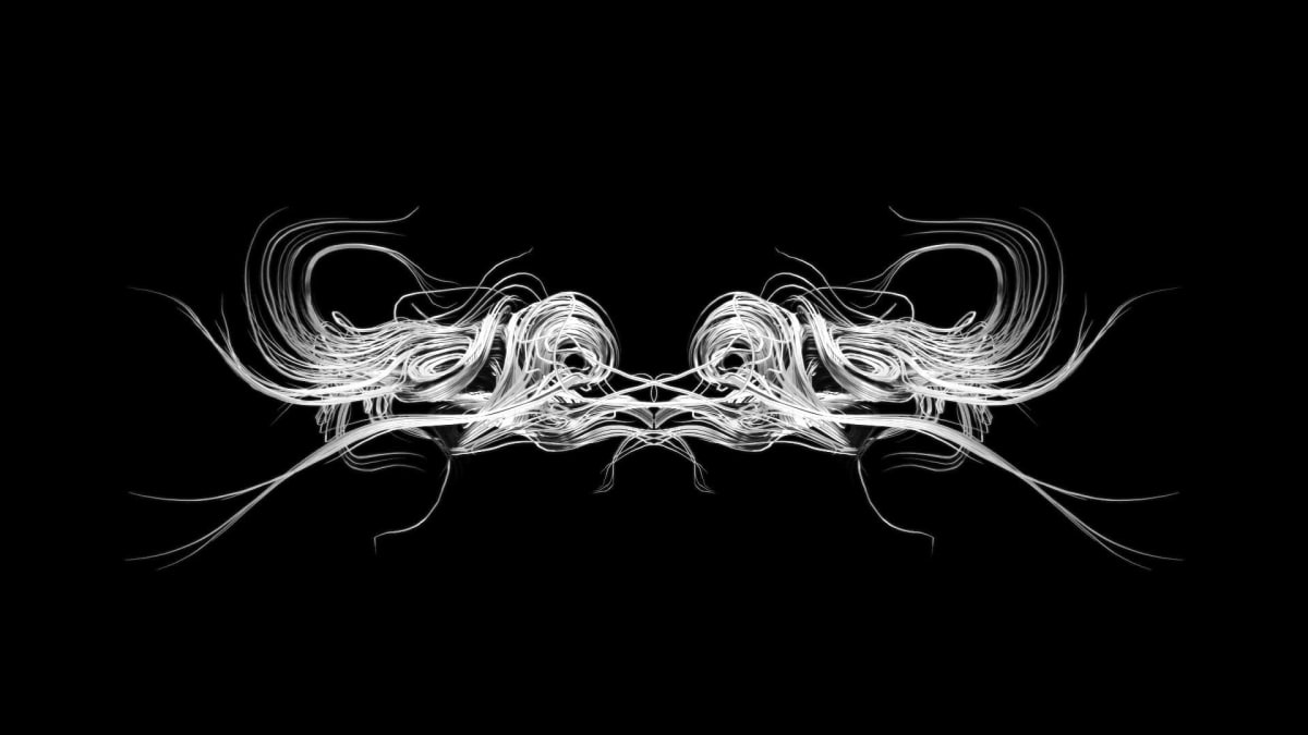 Entropy 31