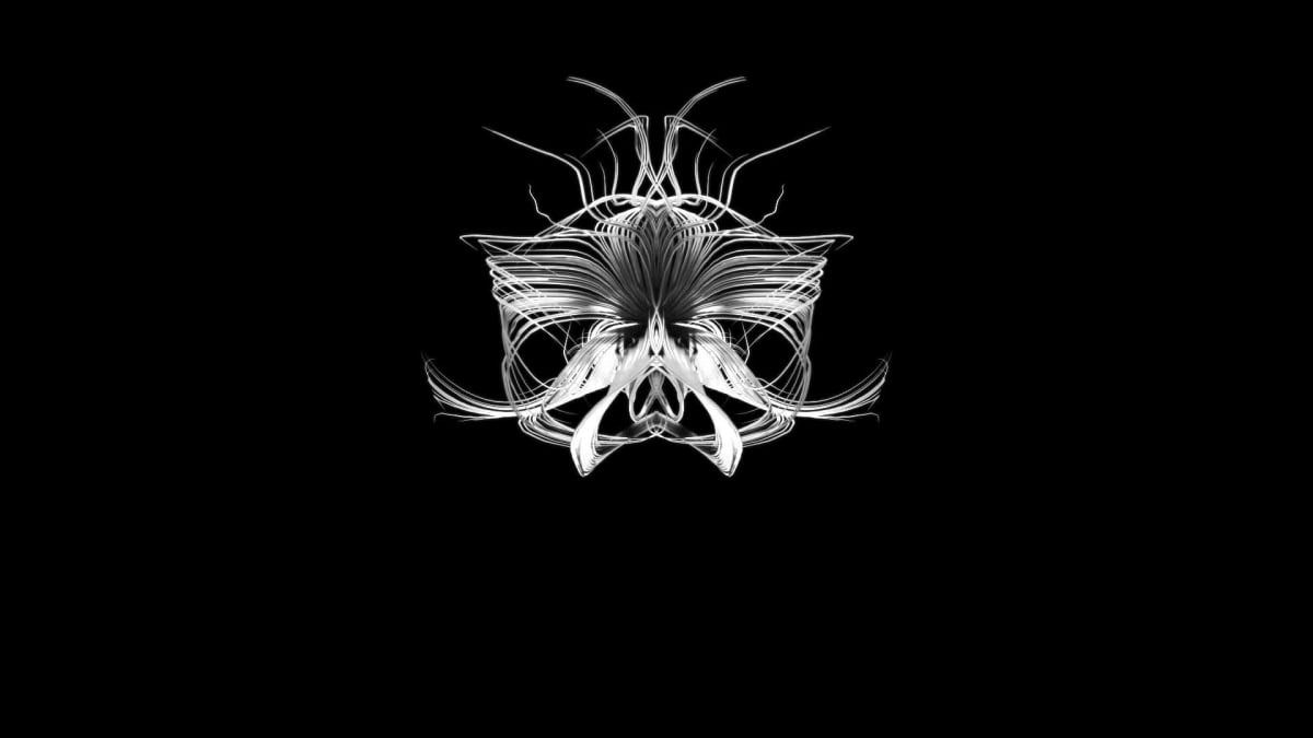 Entropy 5