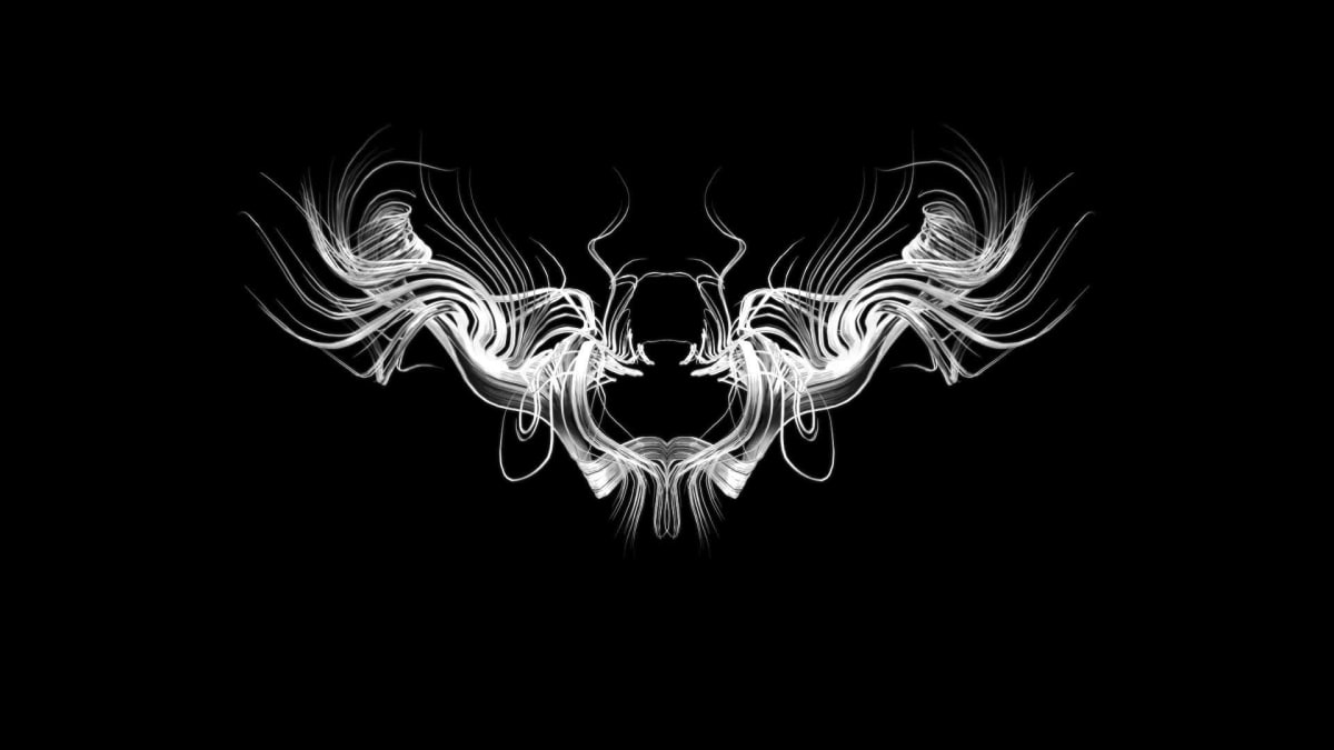 Entropy 8