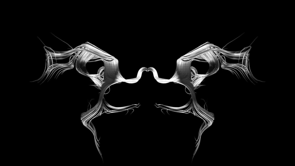 Entropy 44