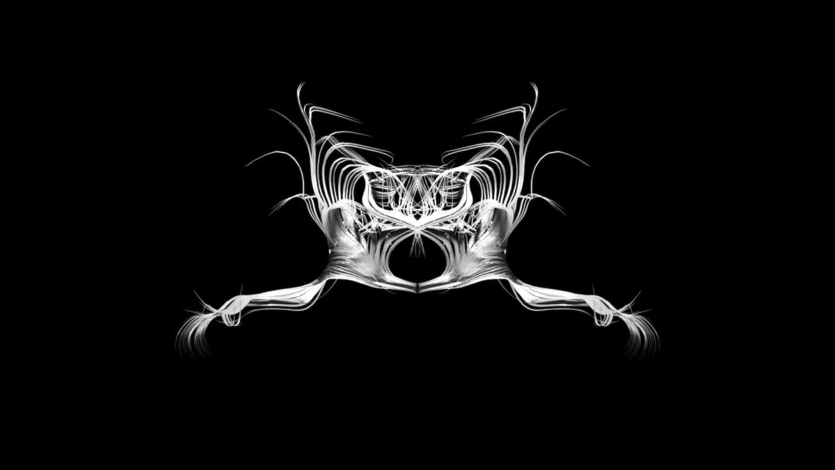 Entropy 25