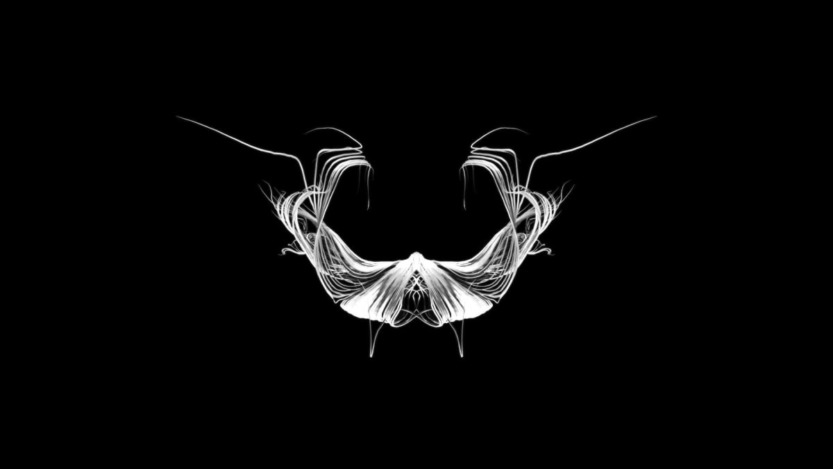 Entropy 24