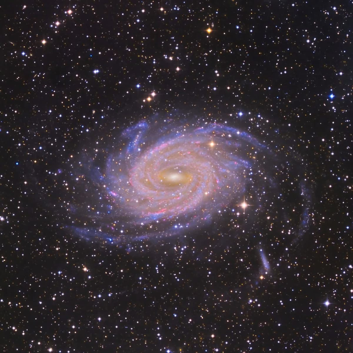 Caldwell 101 Spiral Galaxy