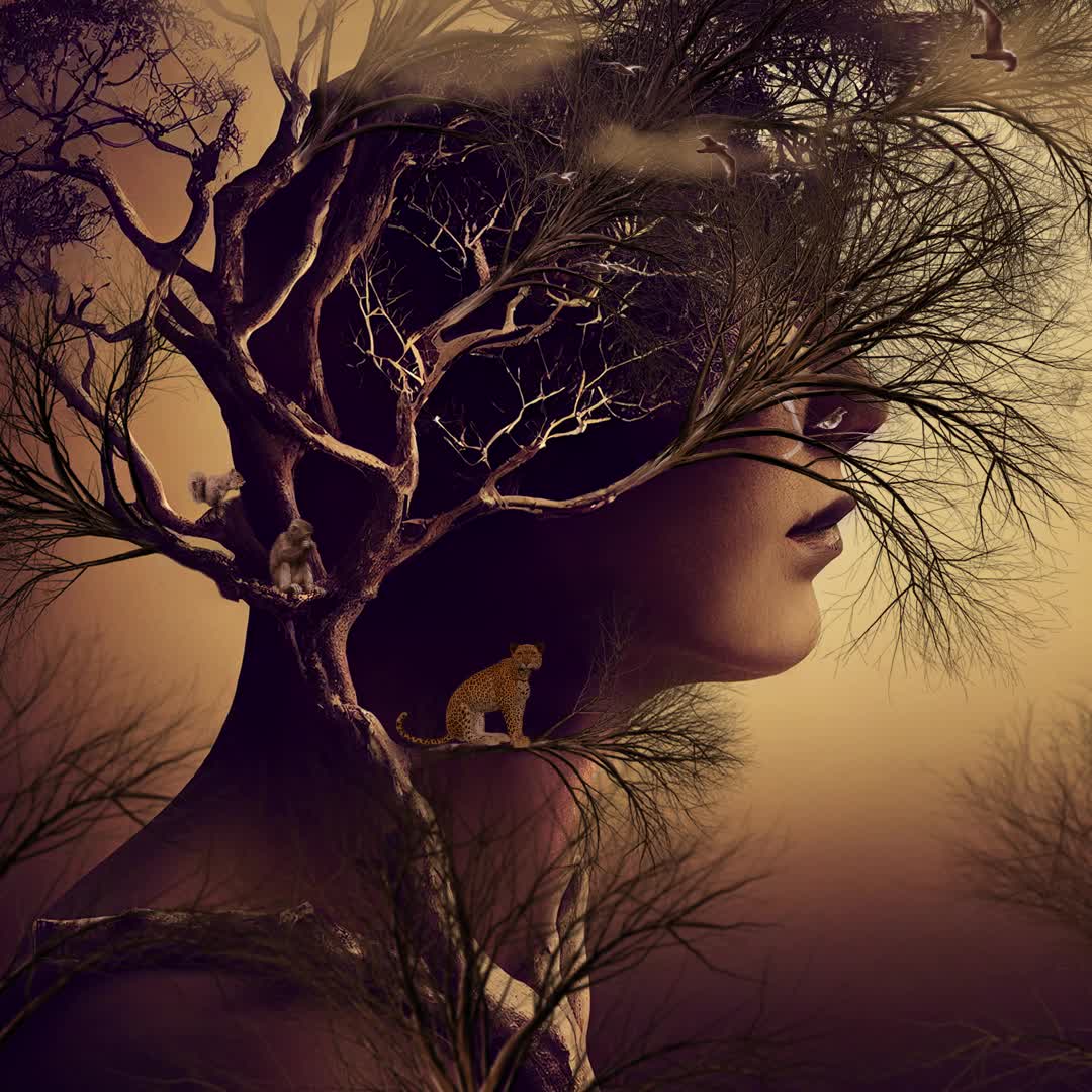 TEARS of NATURE