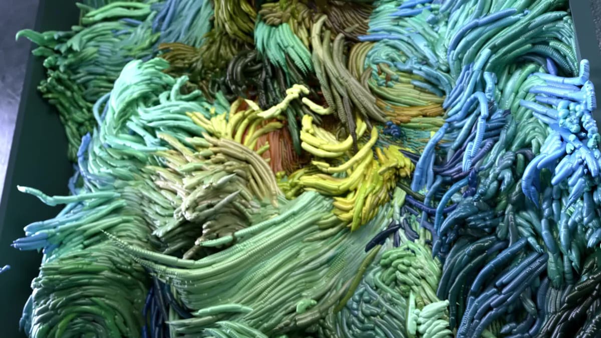 Meeting with The Self Portrait