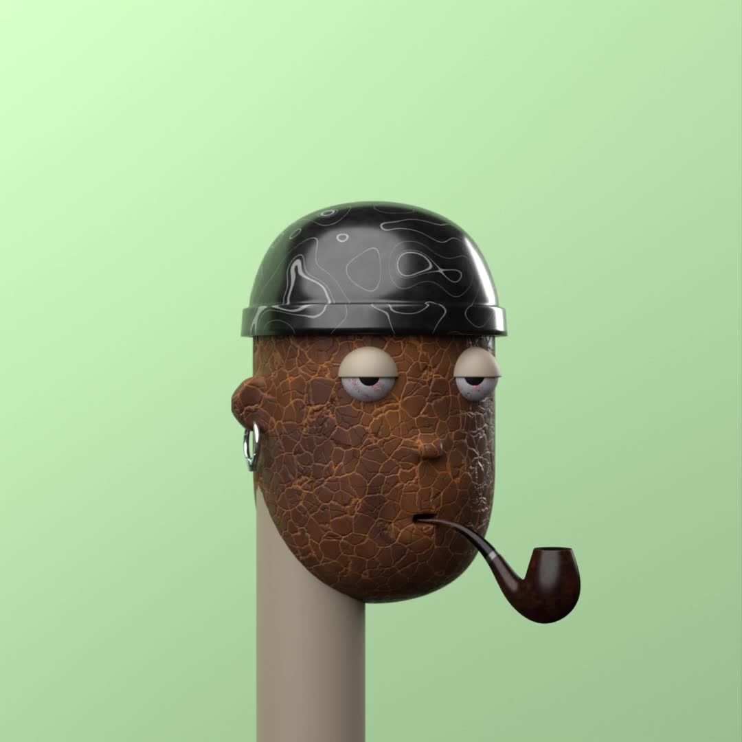 Punk XII