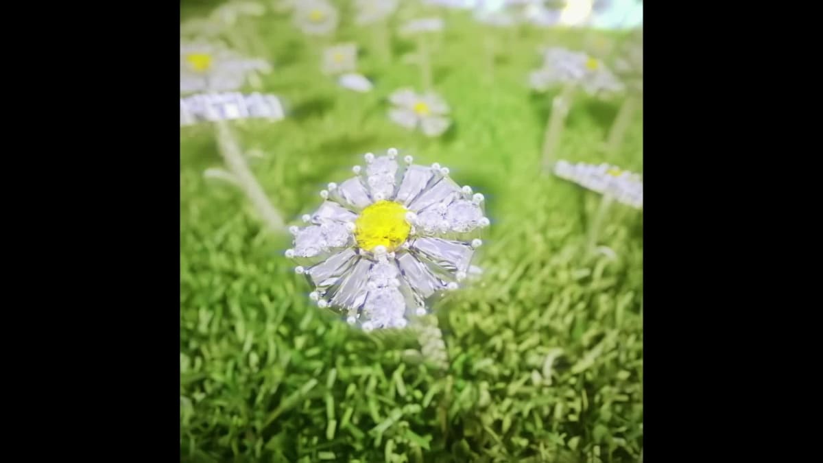 Daisy dream