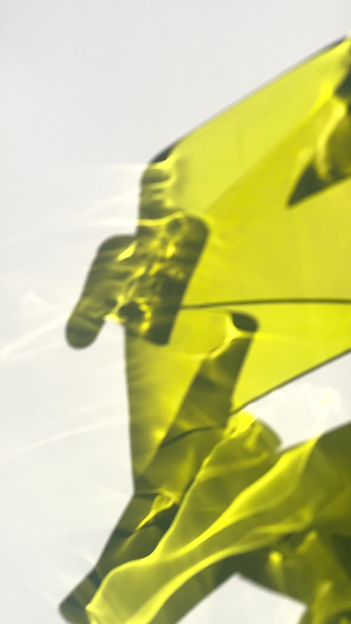 Crisálidas by Iria Martínez