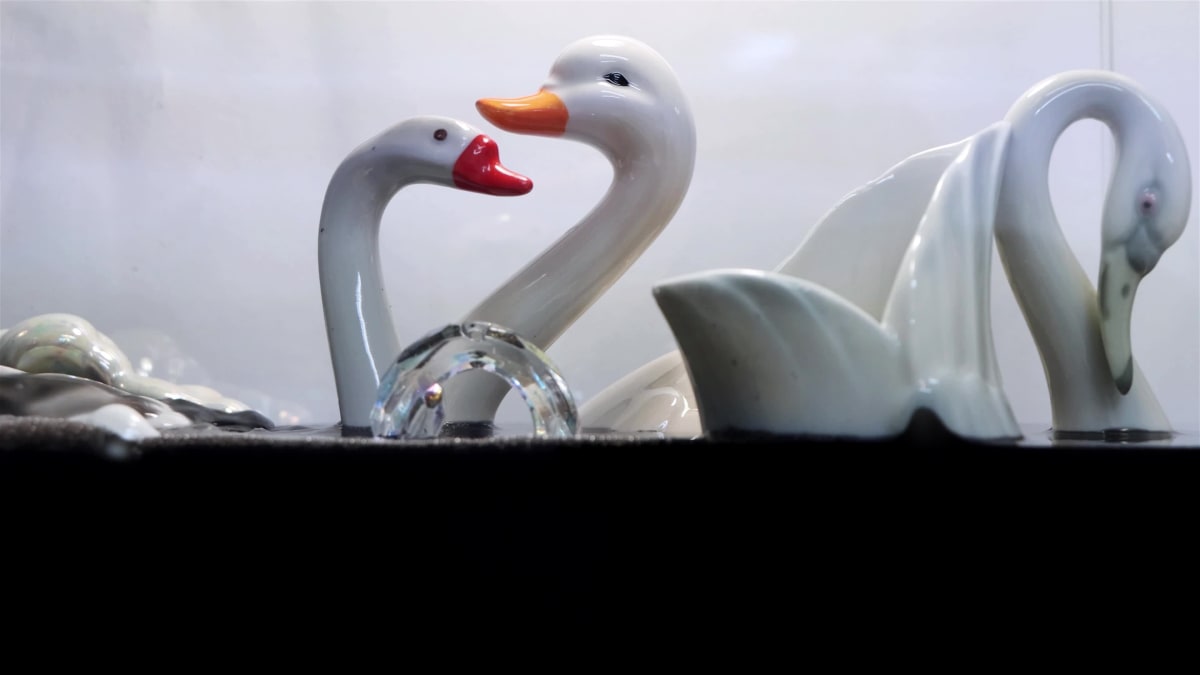 El lago de los cisnes by Cristóbal Tabares