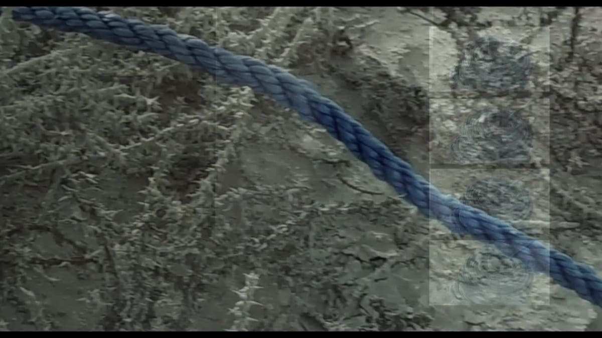 THE BLUEST ROPE - Nujoom Alghanem