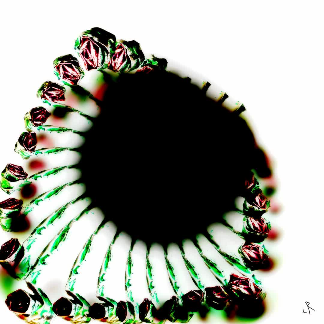T7_CIRCULUS