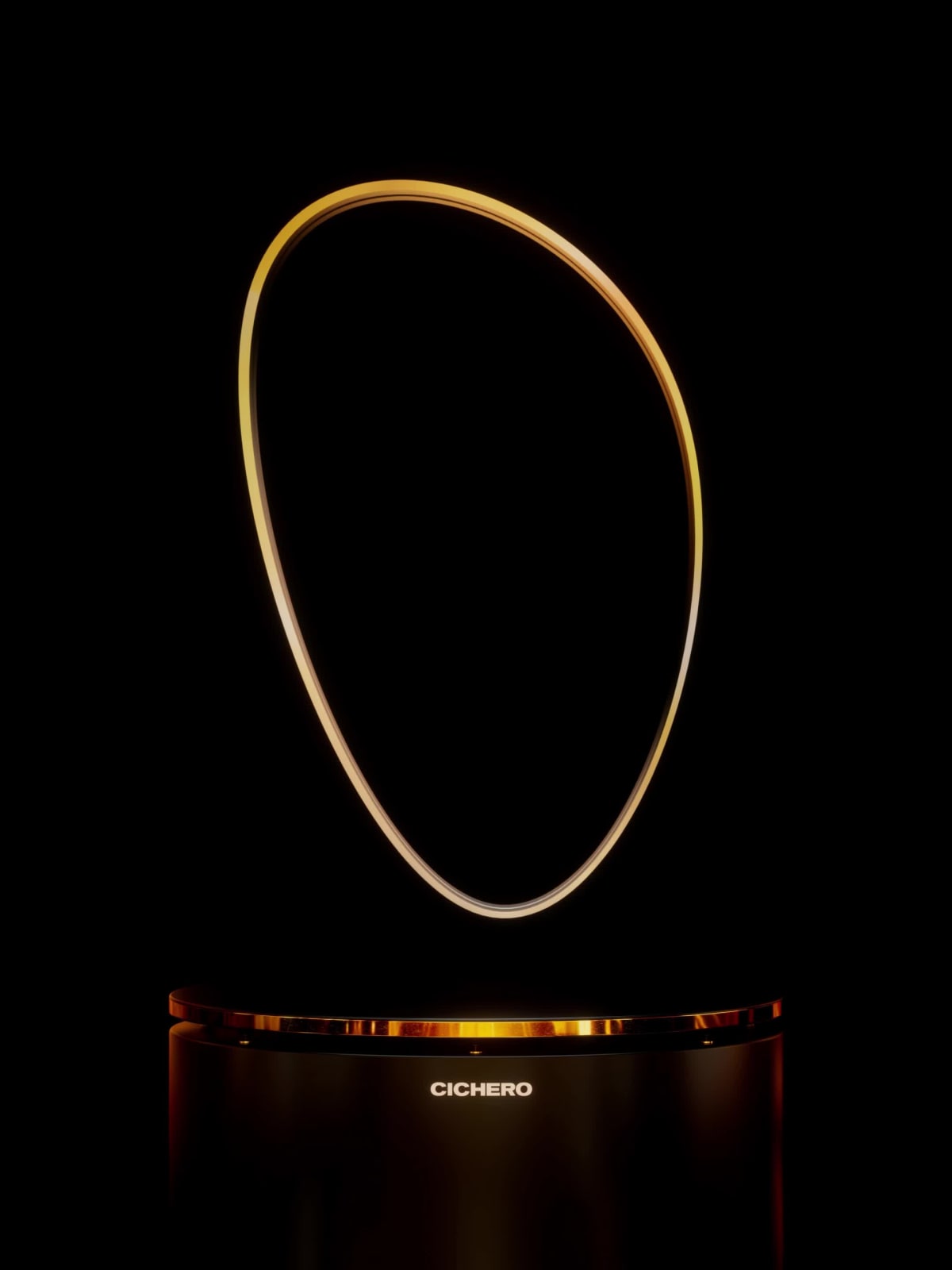 The Black Hole