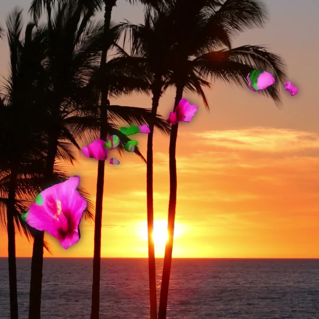 Stand With Hawaii | Sunset