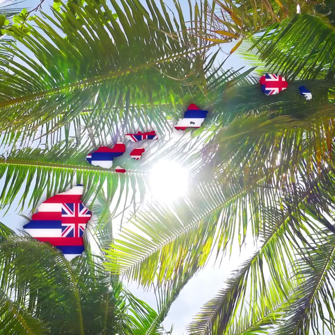 Stand With Hawaii | Palms