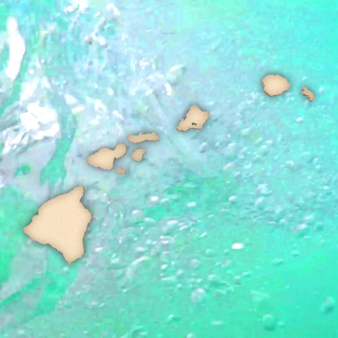 Stand With Hawaii | Ocean