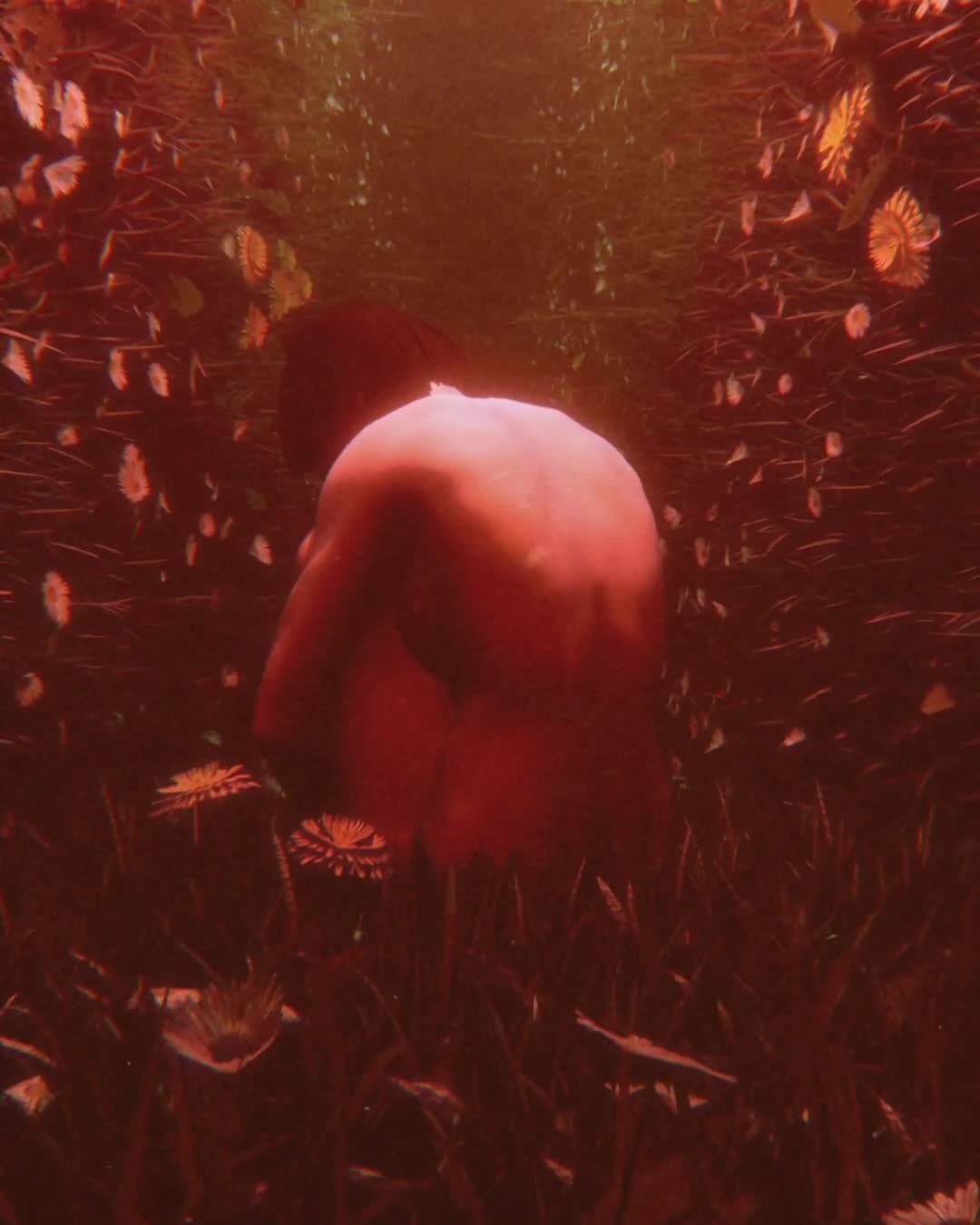 manic - negative mindset