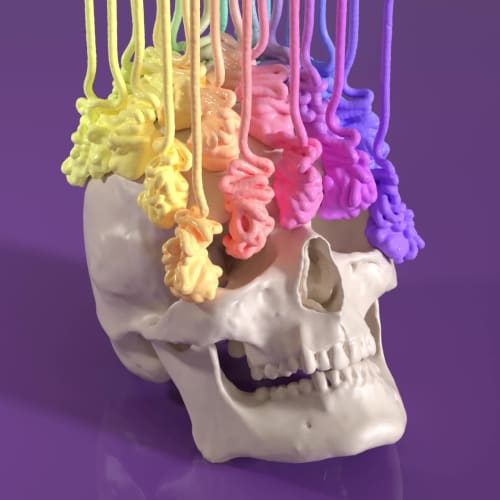 Skull