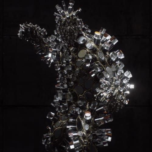 The Glass One