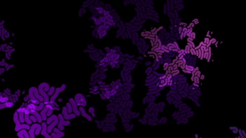 Somnium Purpura