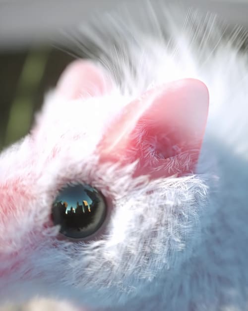 City Creature