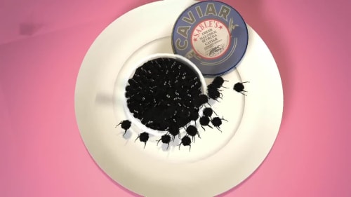 Caviar Escape