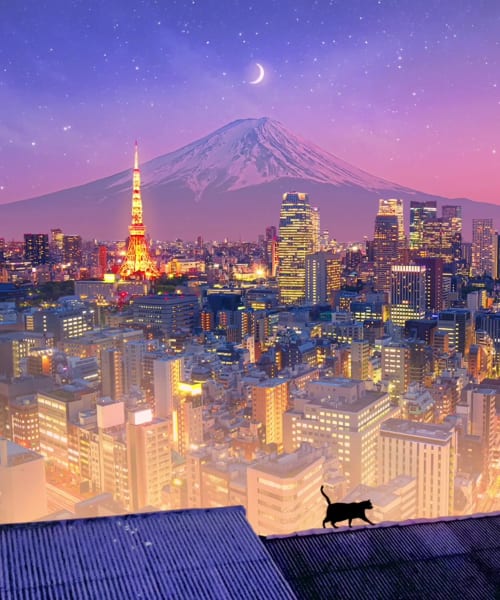 The Cat In Tokyo