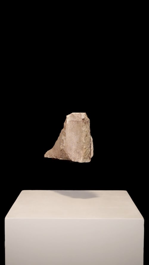 Detritus #7
