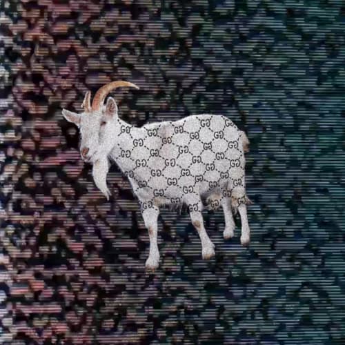 The Goat Market