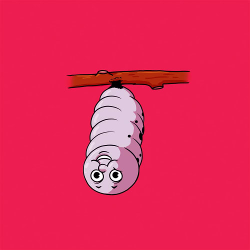 Metamorphosis