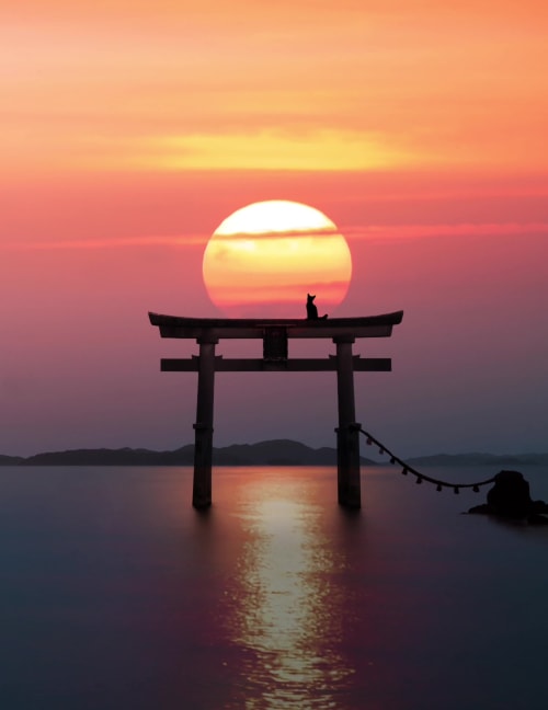WHEN HOPE ARISES